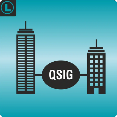 SARVAM QSIG SME