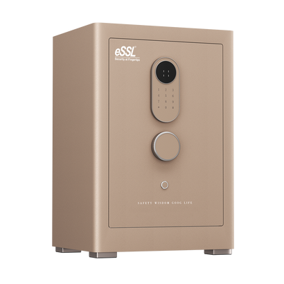 essl eSAFE-H-60