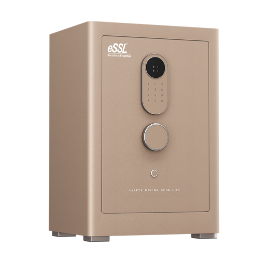essl eSAFE-H-60