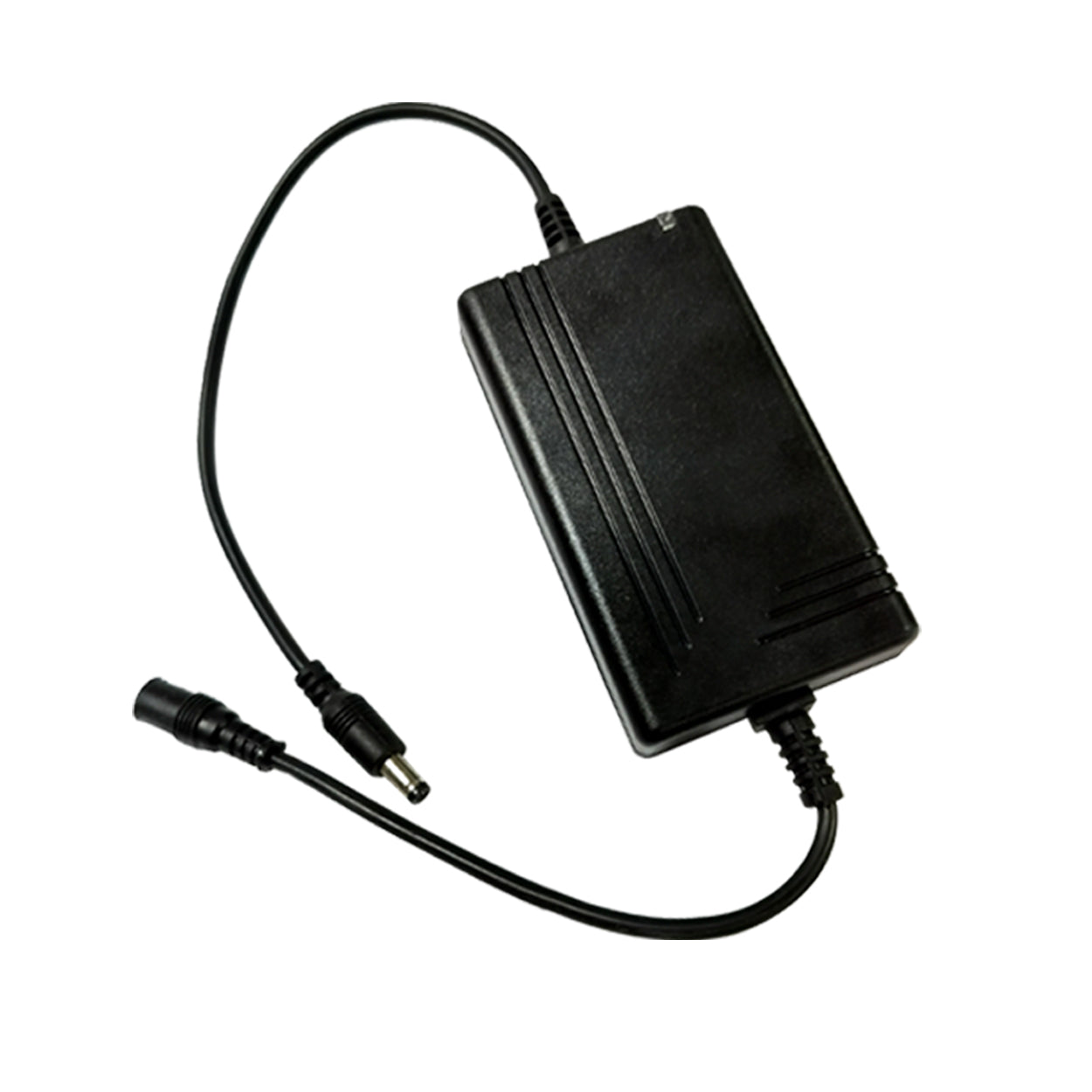 eSSL IND-MINIUPS-12V