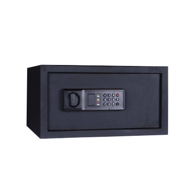 eSSL SAFE-101